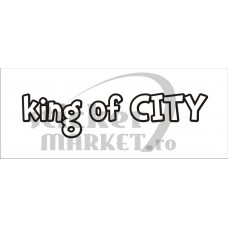 King of City
